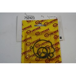 Kit guarnizioni carburatore...