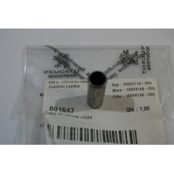Spinotto pistone 10X29...