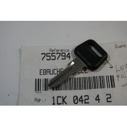 Chiave grezza vergine non...