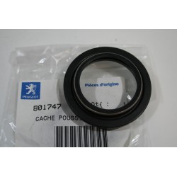 PArapolvere forcella Fork...