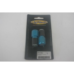 Pesi manubrio blu...