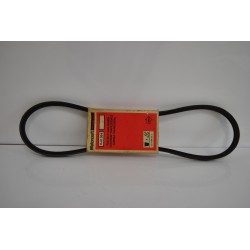 Cinghia alternatore...