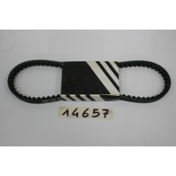 Cinghia trasmissione...