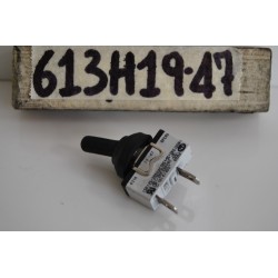 Interruttore a levetta...