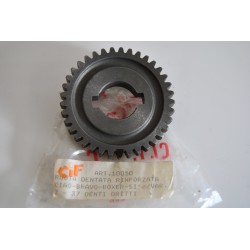 Ingranaggio Z37 CIF Gear...