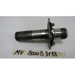 Perno Asse ruota posteriore...