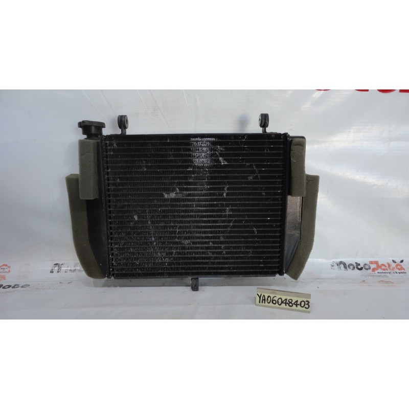 Radiatore acqua Water Radiator Kuhlerlufter Yamaha R6 99 02