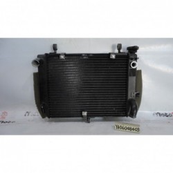 Radiatore acqua Water Radiator Kuhlerlufter Yamaha R6 99 02