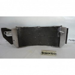 Radiatore acqua Water Radiator Kuhlerlufter Yamaha T Max 530 12 14