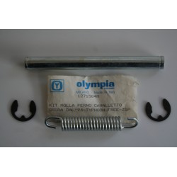 Kit molla + perno...