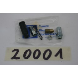 Kit revisione carburatore...