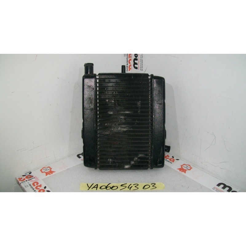 Radiatore acqua Water Radiator Kuhlerlufter Yamaha Majesty 250 99 06