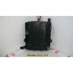 Radiatore acqua Water Radiator Kuhlerlufter Yamaha Majesty 250 99 06