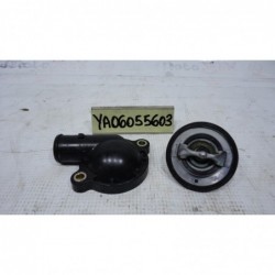 Valvola Termostatica Thermostatic valve Yamaha FZ6 07 11