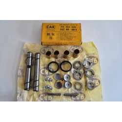 Kit revisione perni fuso...