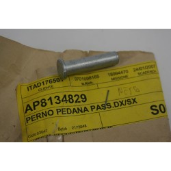 Perno pedana posteriore...