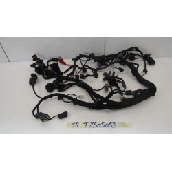 Impianto elettrico Wiring...