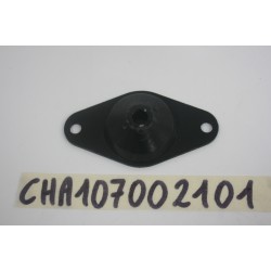 Supporto anteriore...