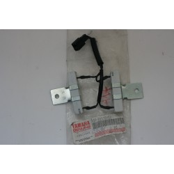 Resistenza Resistor assy...
