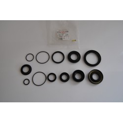 Kit paraoli motore RMS...