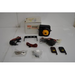 Allarme Antifurto...