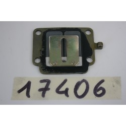 Valvola lamellare Reed...