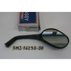 Piastra specchietto dx...