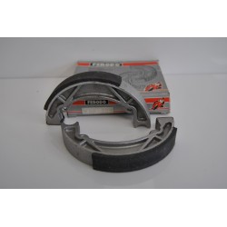 Ganasce freno posteriore...