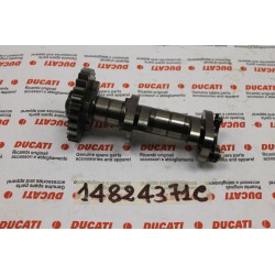 Albero distribuzione...