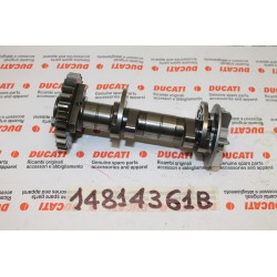 Albero distribuzione...