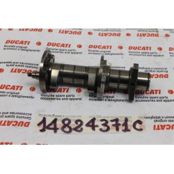 Albero distribuzione...