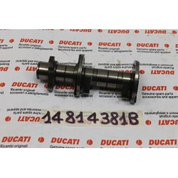 Albero distribuzione...