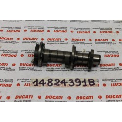 Albero distribuzione...