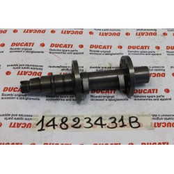 Albero distribuzione...