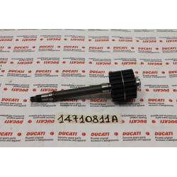 Albero rinvio distribuzione...