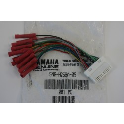 Estensione cablaggio Wiring...