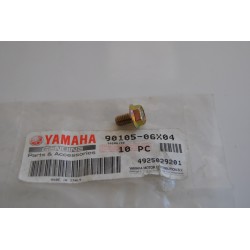Vite cilindro Cylinder...
