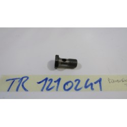 Bullone circuito olio...