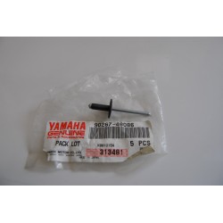 Rivetto Rivet Yamaha Phazer...