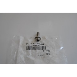 Vite scarico Hex socket...