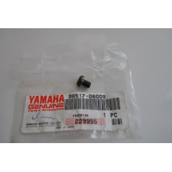 Vite scarico Pan screw...
