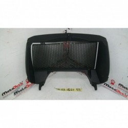 Griglia Protezione Radiatore Radiator Guard Bmw F 800 Gs 08 12