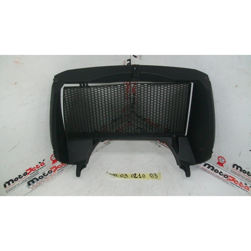 Griglia Protezione Radiatore Radiator Guard Bmw F 800 Gs 08 12