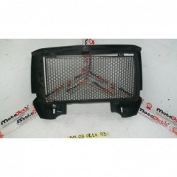 Griglia Protezione Radiatore Radiator Guard Bmw F 800 Gs 08 12