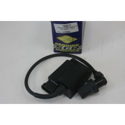 Centralina KOKUSAN SGR...