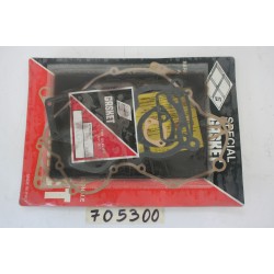 Serie guarnizioni motore...