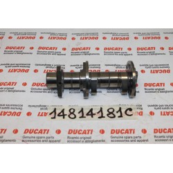 Albero distribuzione...