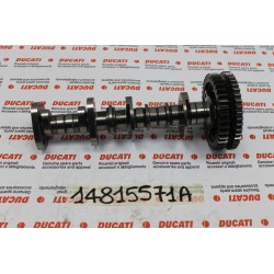 Albero distribuzione...