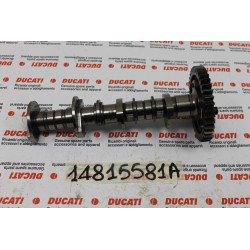 Albero distribuzione...