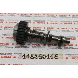 Albero distribuzione...